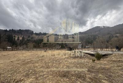 TEREN INTRAVILAN 500 MP SATIC- RUCAR - 9