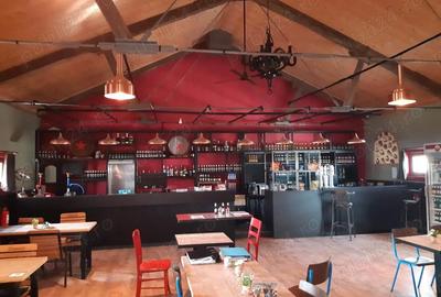 Spațiu comercial, de 180 mp, în Macea - 1