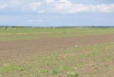 Teren extravilan Cocorastii Colt ; ID: R2710069 - 10