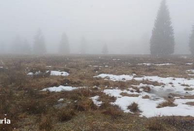 Teren de 2000 mp, în Central - 4