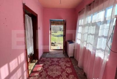 Casă cu 2 camere cu Teren 1500 Mp în Botizului - 9