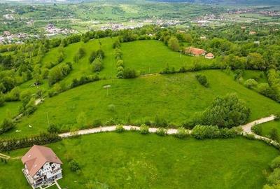 Film! 11.000 mp,pozitionare valoroasa,conditii apreciabile, Sohodol, Bran, Braso Film! 11.000 mp,pozitionare valoroasa,conditii apreciabile, Sohodol, Bran, Braso - 5