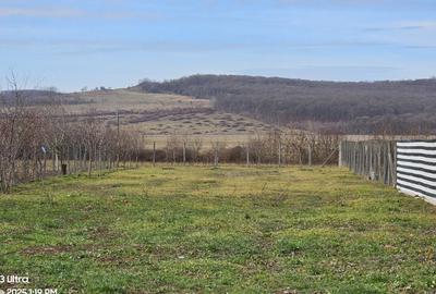 Teren intravilan (loc de casa), Com. Ineu Bihor 1186mp - 7