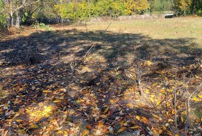 Vând teren 4200mp, int și ext în Romani  de jos - 5