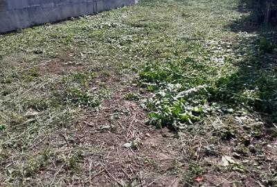 Casă în Frătăuții Noi - 5