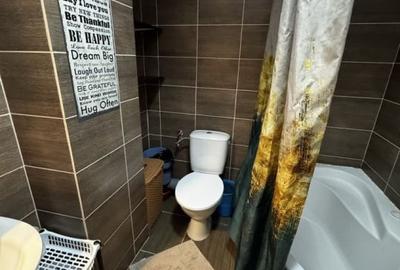 PRIMA INCHIRERE TINERETULUI - PIATA NORILOR | PARC TINERETLUI | BOILER - 2