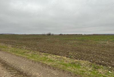 Teren de 15500 mp, în Tărtășești