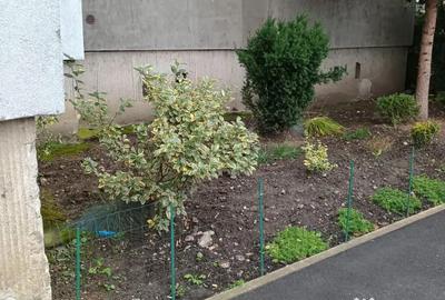 Apartament cu 3 camere decomandat în Sângeorgiu de Mureș - 3