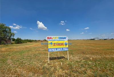 Teren Construcții intravilan de 24995 mp, în Clinceni - 11