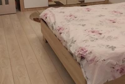 Garsonieră decomandată, mobilată în Theodor Pallady - 4