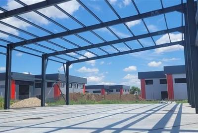 Vanzare depozit/hala/spatiu industrial Domnesti - Centura, Ilfov - 2