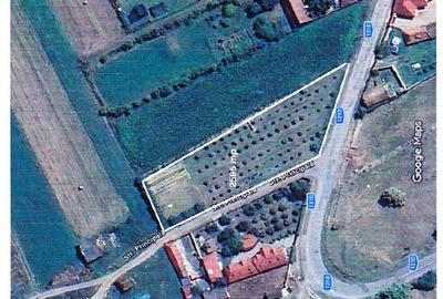 Teren Construcții intravilan de 2595 mp, în Bogata Olteană - 1