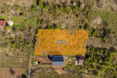 Stefanestii deJos - sos Stefanesti, teren 2987 mp, stb 4 min, deschidere 36 ml - 4