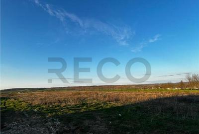 RECO Teren intravilan , Comuna Paleu , Bihor - 3