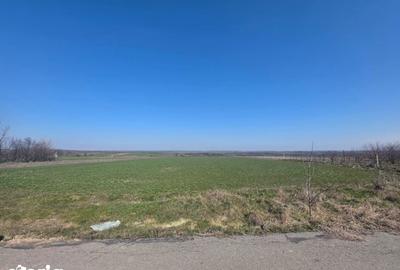 Teren de 3800 mp, în Mischii