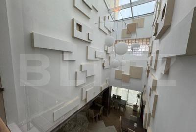 Hotel/Pensiune, 6 camere, 1700 mp, zona Hanul Doctorului - 9