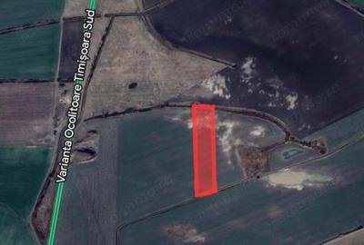 Calea Sagului- zona industriala- 10000 mp - 3