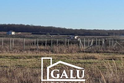 Spațiu comercial, în Central