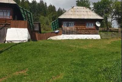 Teren de 60000 mp, în Vadu Moților - 8