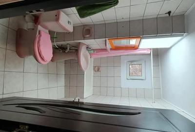 Apartament cu 2 camere nedecomandat în Cetate - 5