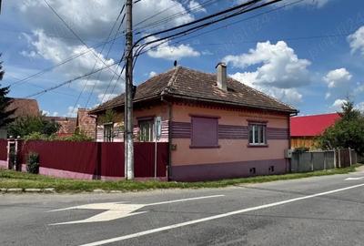Casă cu Teren 1800 Mp în Arpașu de Jos - 4