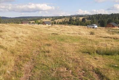 Teren, 1000 mp, intravilan, utilitati, zona Beli? - 2