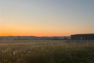 RECO Teren intravilan pentru casa Osorhei cu PUZ - 10