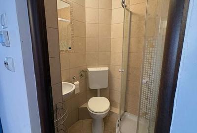 Apartament cu 3 camere decomandat în Lenin - 7