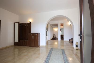 Proprietate spatioasa cu potential turistic - Iasi - 9