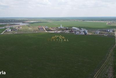 Spațiu comercial, în Vidra - 4