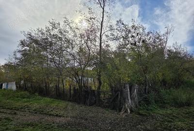 Vand casa si teren intravilan, Popesti, Vaslui - 9