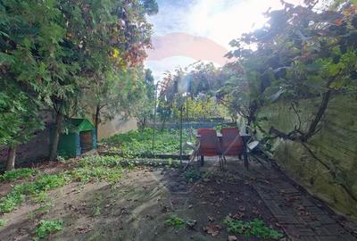 Casa individuala, 3 dormitoare, curte, langa UMF - 12