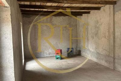 Casa plus teren de vanzare in Balin?,comision ,,0'' - 19