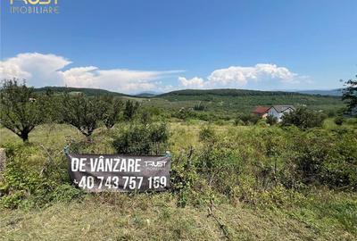 Teren de vanzare Dealul Dumitrei 1000 mp - 8