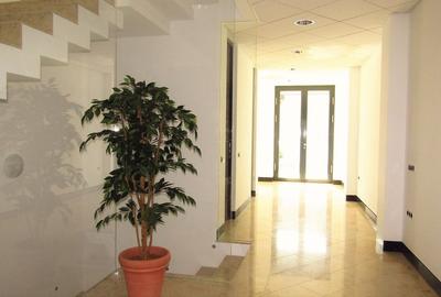 Zero comision, 420mp vila birou - comercial, Eminescu, 8' metrou - 1