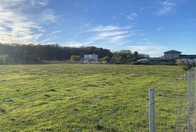 Domnesti, padurea Teghes - 11