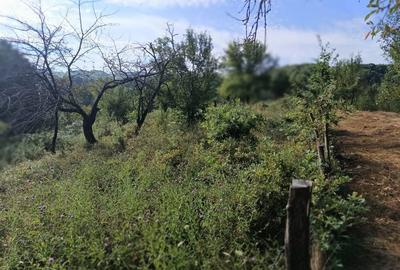 Teren de 4183 mp, în Bârlogu - 3