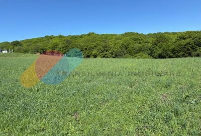 Teren Construcții extravilan de 2900 mp, în Popești - 1