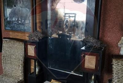 Vanzare Casa-Conac boieresc stil Baroc cu teren in Stoenesti, jud Olt - 48