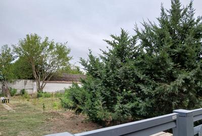 Vladiceasca, Snagov - 8