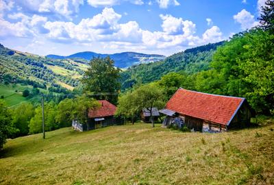 CASA TRADITIONALA, ANEXE si 46.980 mp teren partial INTRAVILAN BULZ - BIHOR - 43
