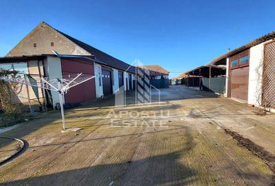 Casa individuala,independenta energetic, 5 camere,teren3783,Peciu Nou - 29