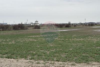 Teren agricol intravilan de 12651 mp, în Central - 10