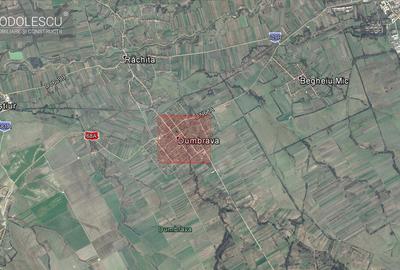 Teren pentru casa in comuna Dumbrava sat Rachita - 2