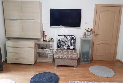 Garsonieră decomandată, mobilată în Bucovina - 2