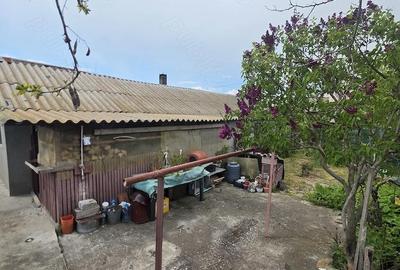 Casă cu 3 camere cu Teren 1243 Mp în Istria - 5
