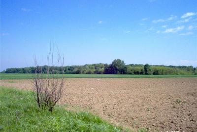 Teren de 575 mp, în Clinceni