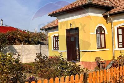 Casă cu 2 camere cu Teren 3669 Mp în Giurgița - 1