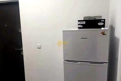 Apartament cu o camera Lunca Cetatuia - 6