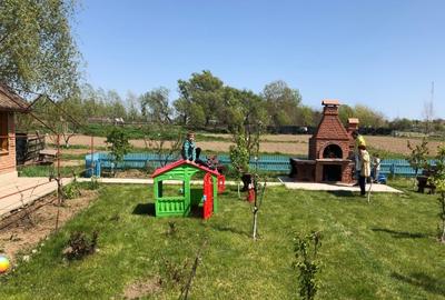 Proprietar vând 2,6 ha de teren parcelat, lângă Dunăre la Nufăru, Tulcea - 6